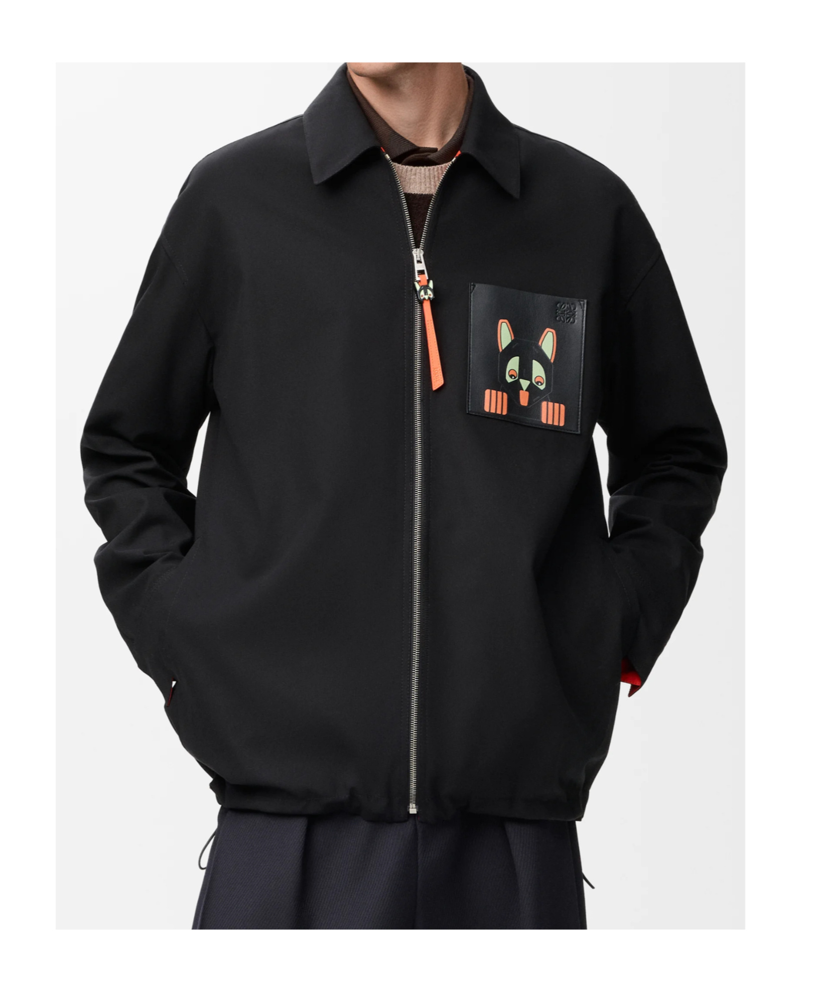 Loewe X Louis Wain Jacket In Multi