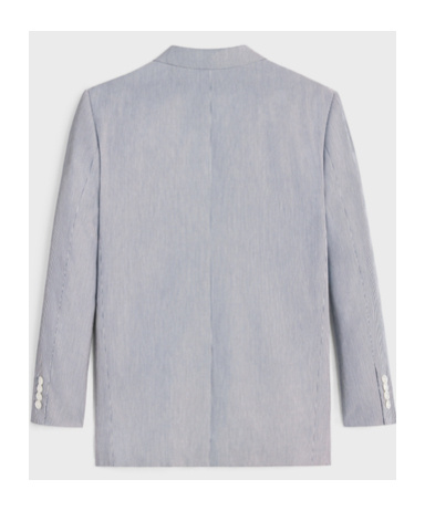 Celine Striped Polyester And Cotton Blend Single-breasted Jude Jacket In Blue And White In Gray
