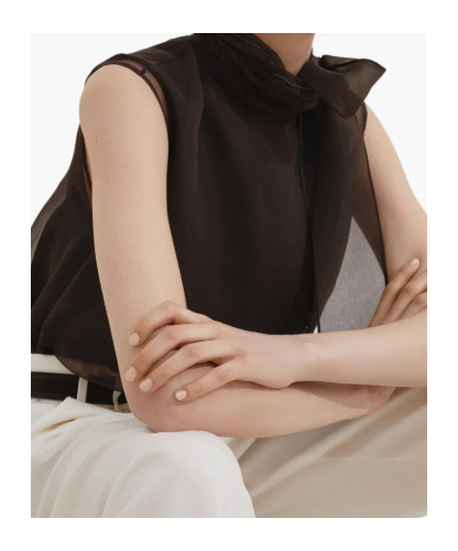 Brunello Cucinelli Pussybow Top With Monili In Black