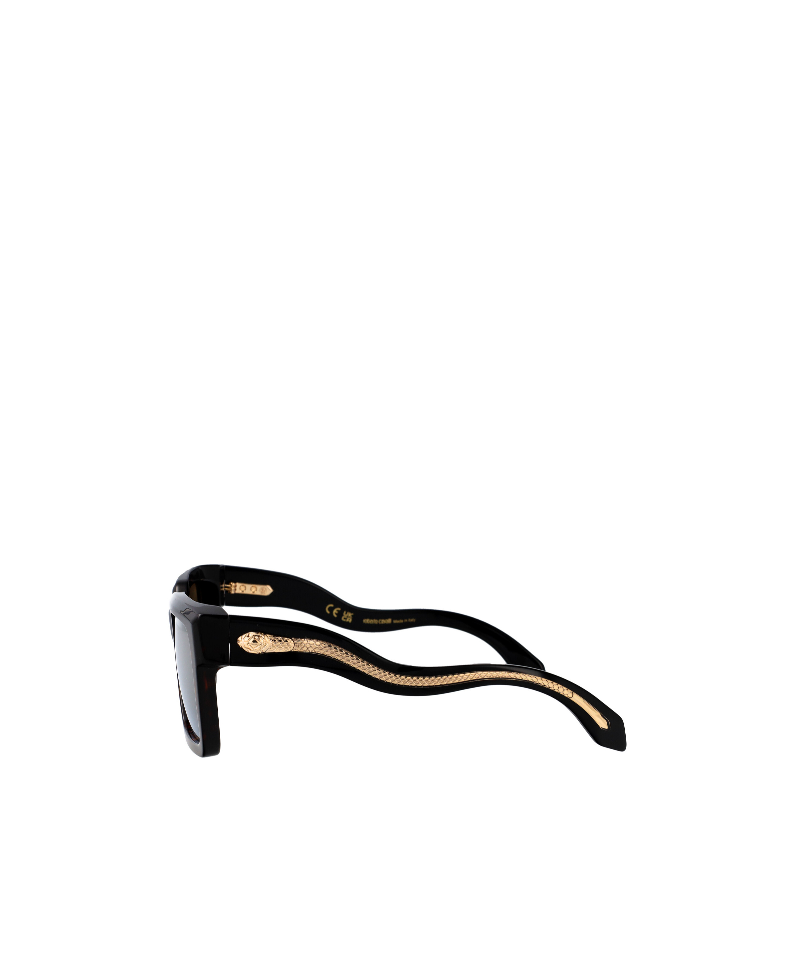 Roberto Cavalli Src055 Sunglasses In Brown
