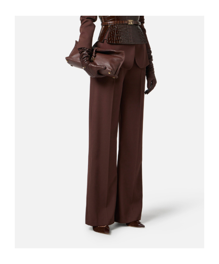 Elisabetta Franchi Pleated Pocket Trousers In Brown