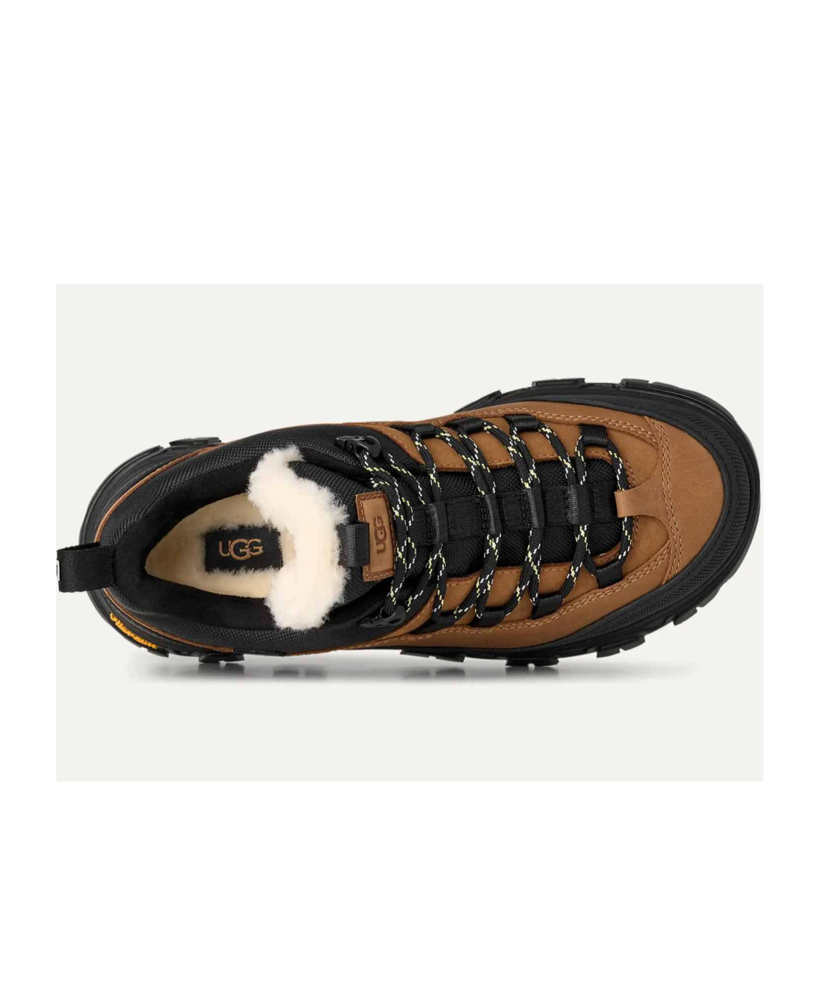 Ugg Lace-up Sneakers In Multi