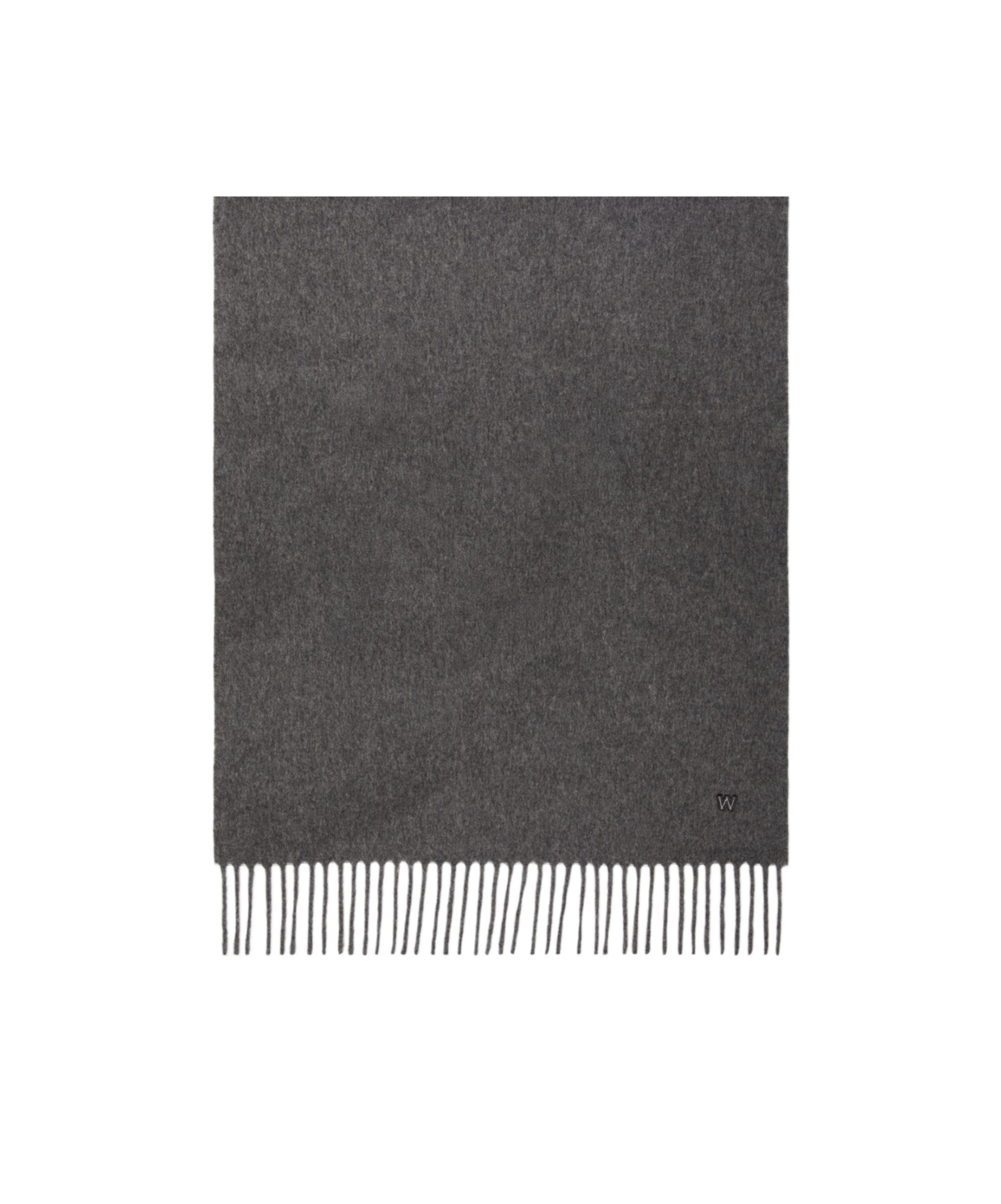 Weekend Max Mara Fringed Scarf In Gray