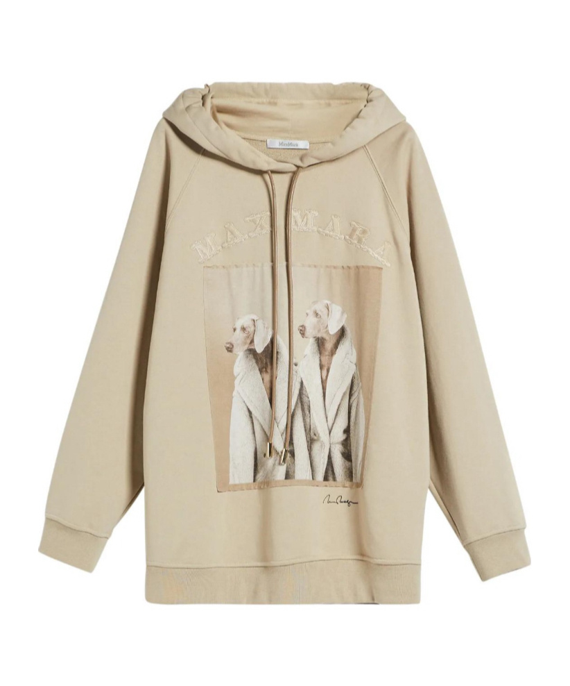 Max Mara Pattern Letters Embroidered Hooded Hooded Hoodie In Brown