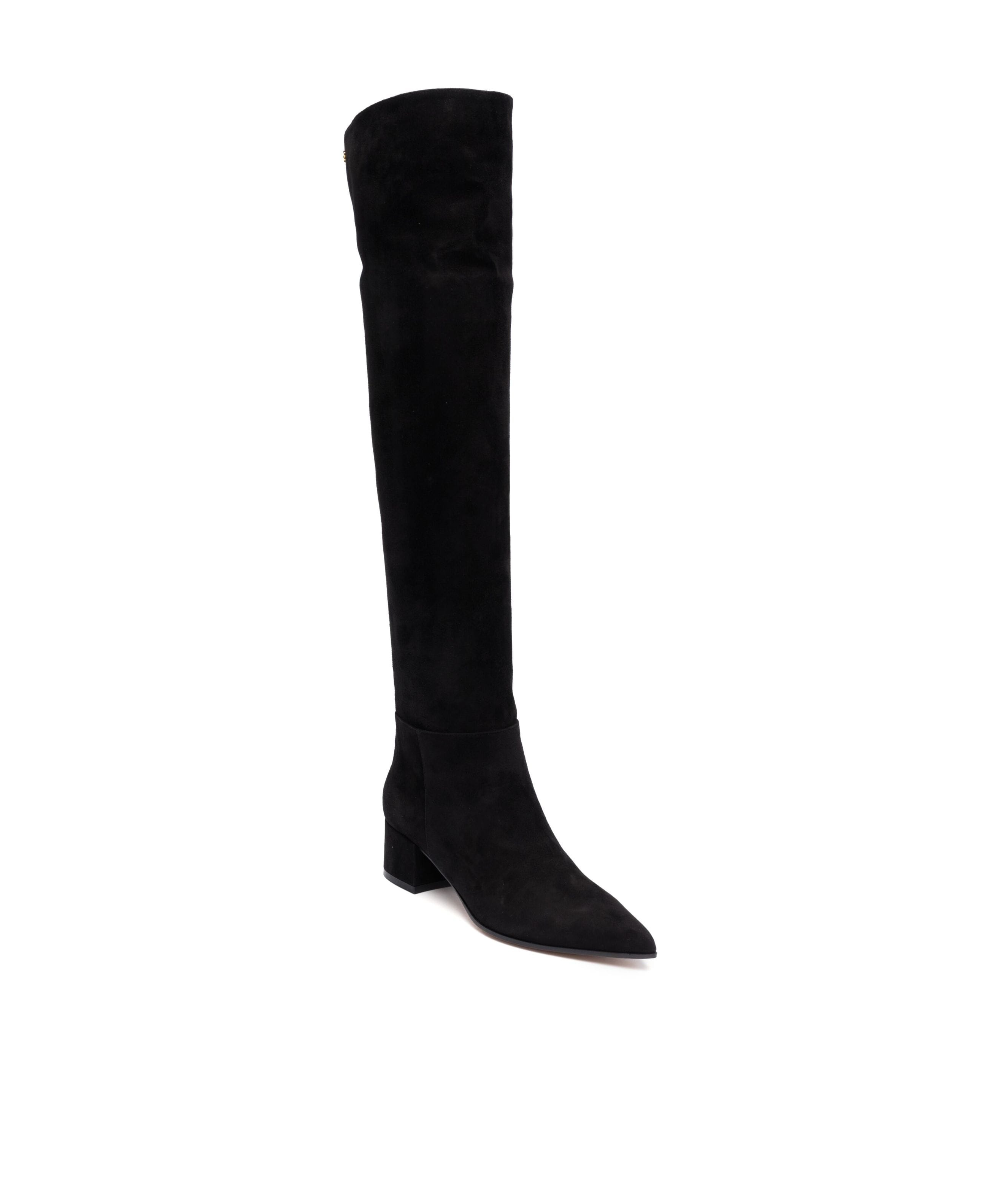 Shop Gianvito Rossi Pointed Boots In Black