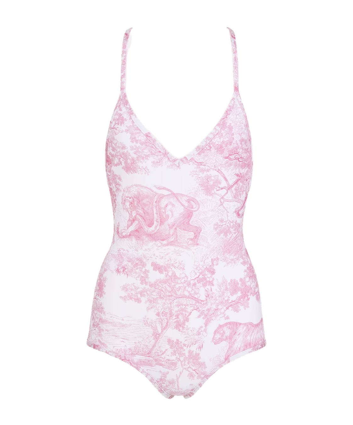 Dior Iviera One-piece Swimsuit