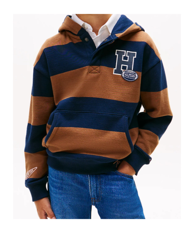 Tommy Hilfiger Striped Hoodie In Multi