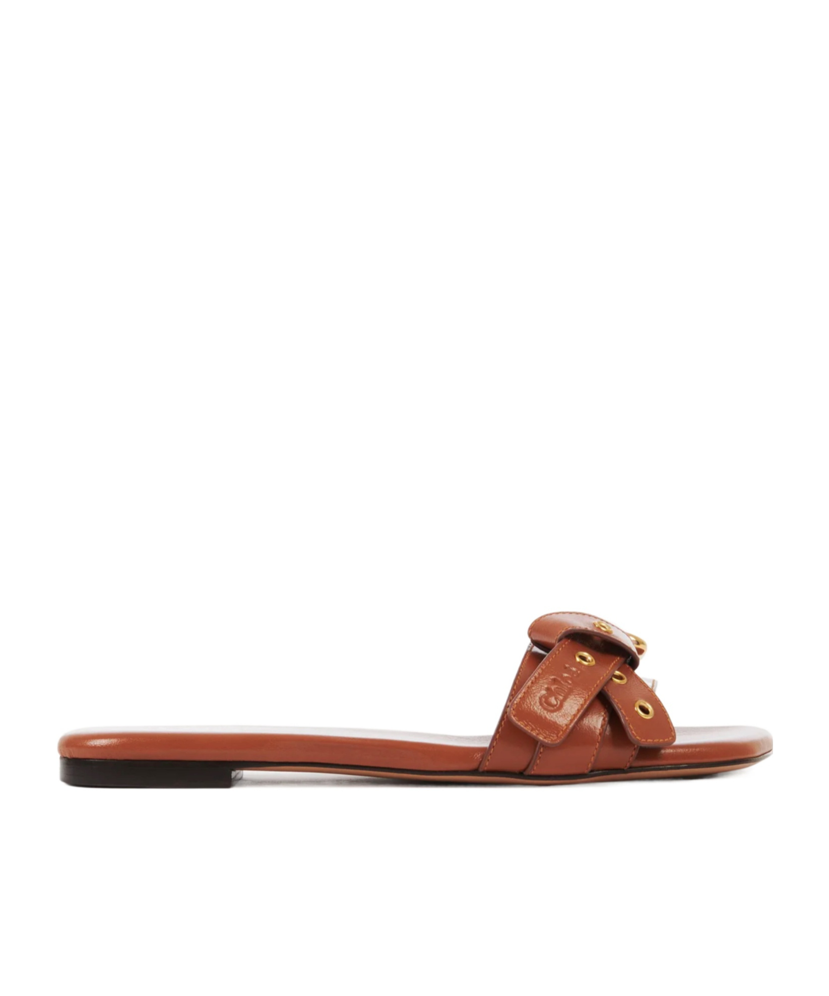 Chloé Mae Leather Buckle Flat Slide Sandals In Brown