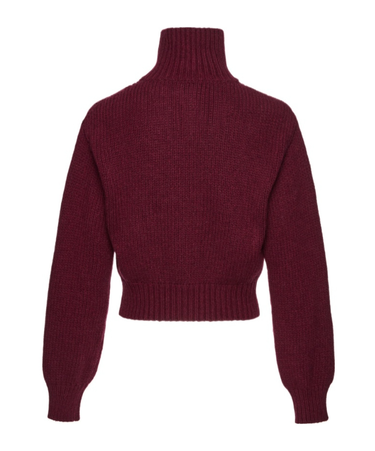Magda Butrym High-neck Buttoned Cardigan In Burgundy