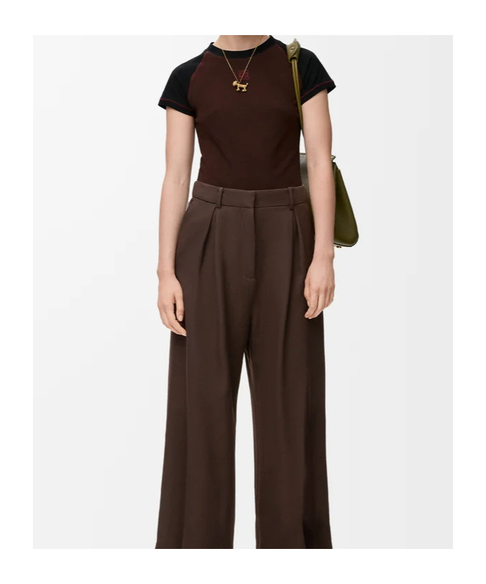 Loewe Small Fit T-shirt In Cotton Blend In Brown