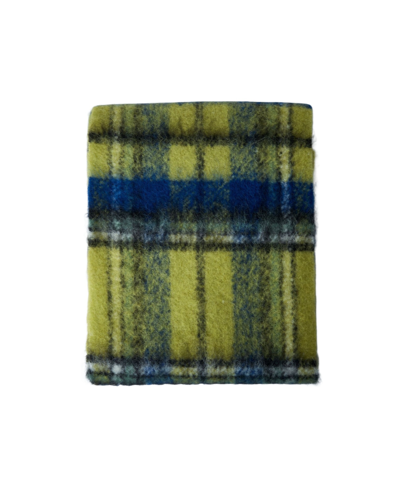 Vivienne Westwood Logo Patch Checked Fringed Scarf In Green