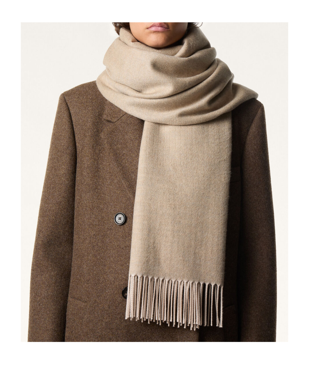 Loro Piana Fringed Scarf In Neutral