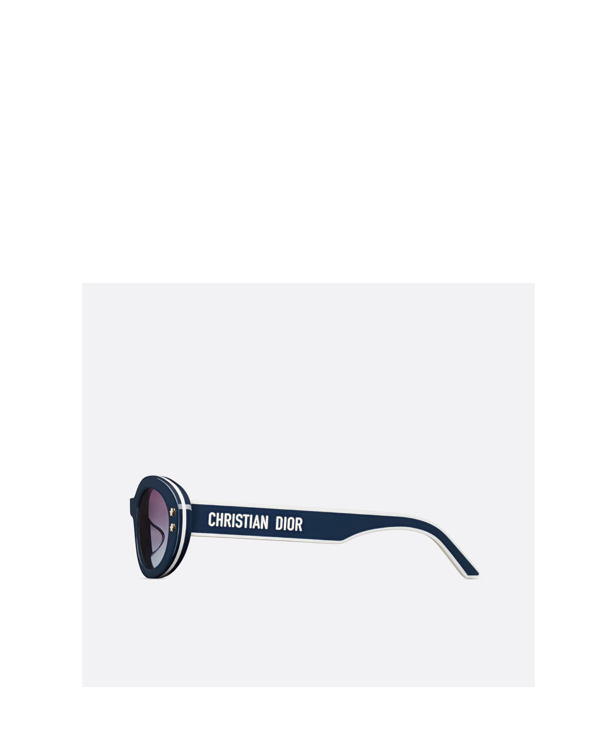 Dior Oval Frame Sunglasses In Blue