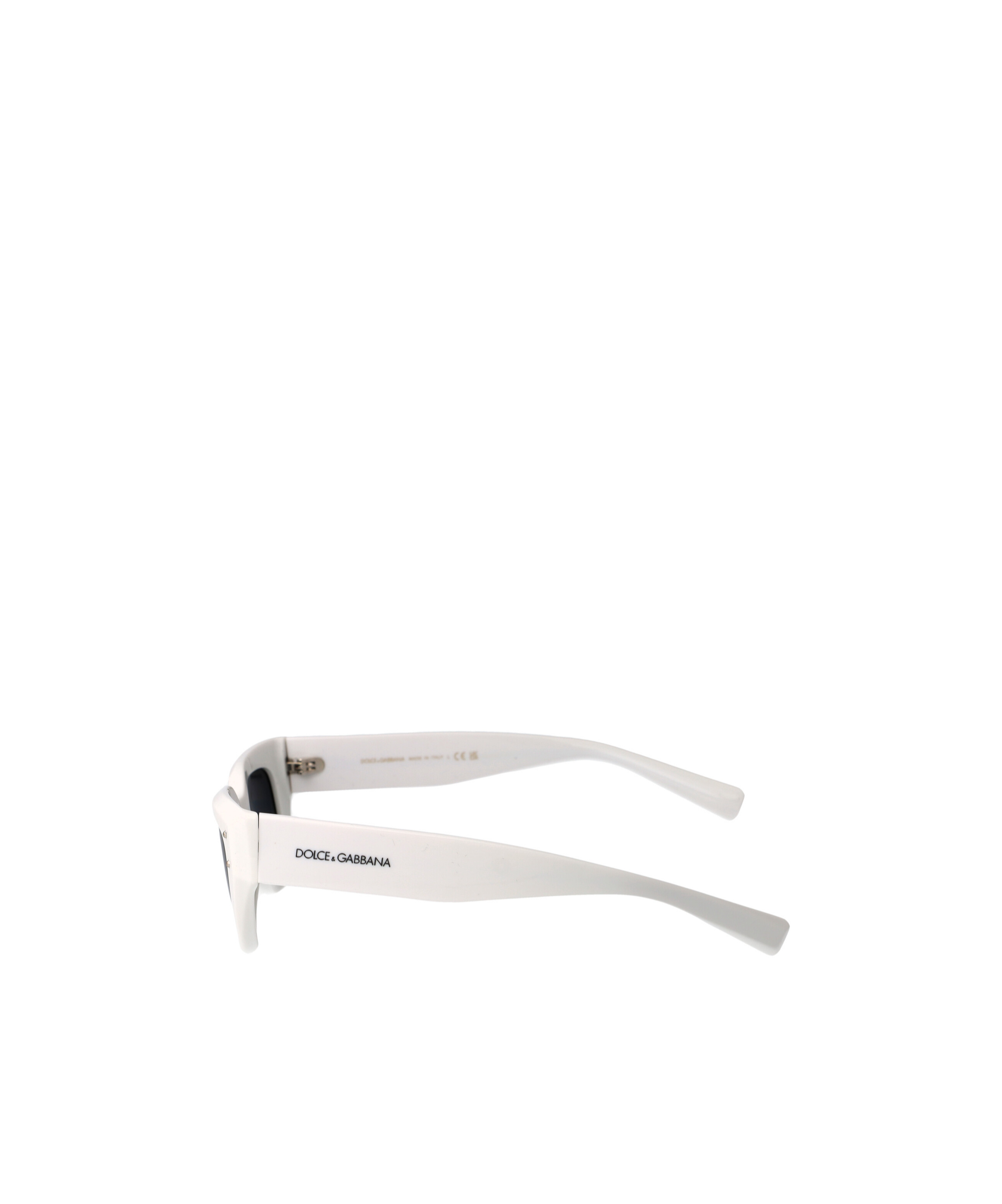 Dolce & Gabbana Full Frame Sunglasses In Multicolor