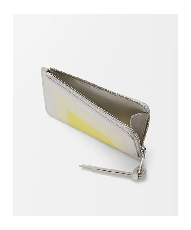 Loewe Card Holder With Coin Purse Small Leather Goods White In Gray