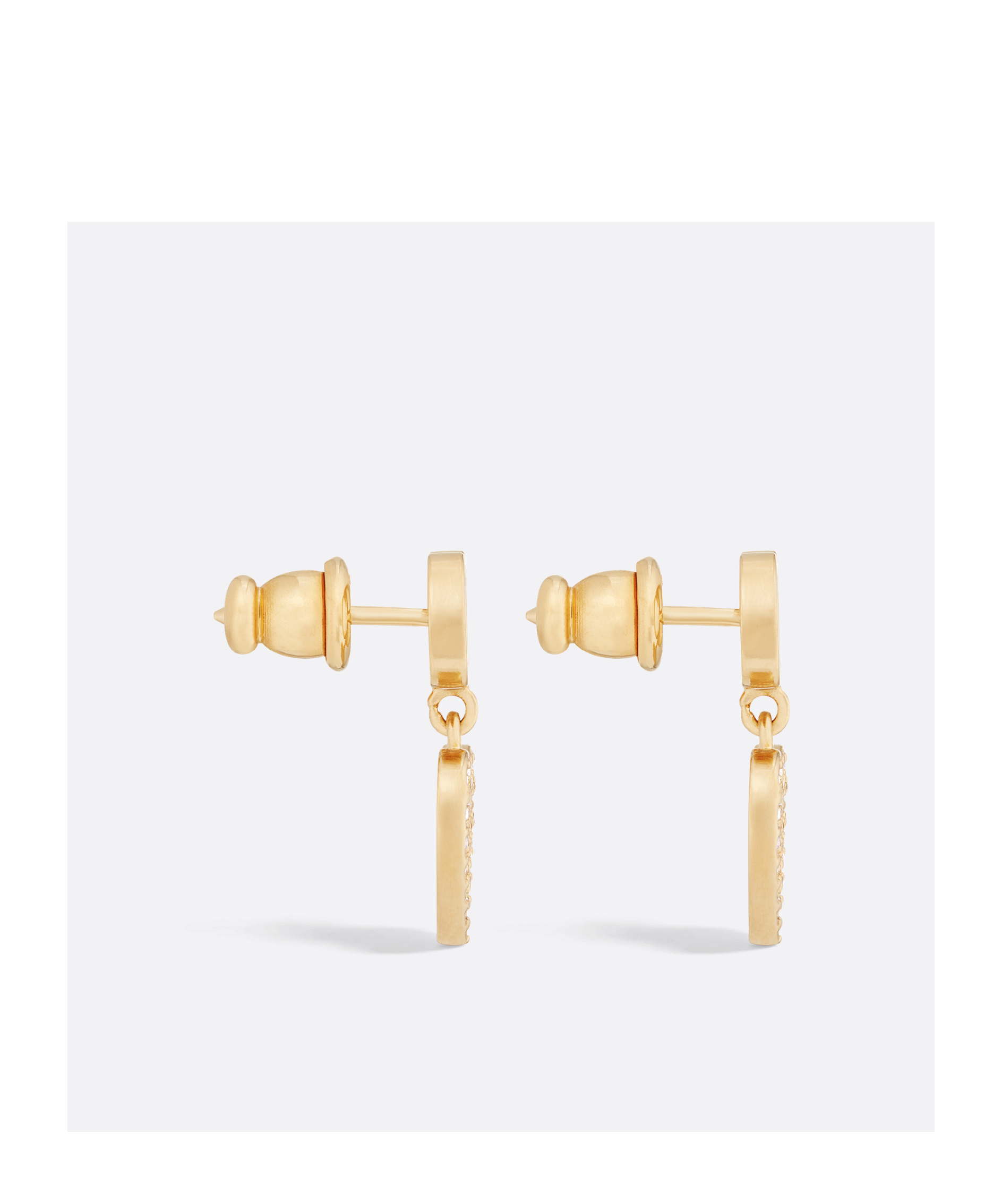 Dior Clair D Lune Earrings In Golden