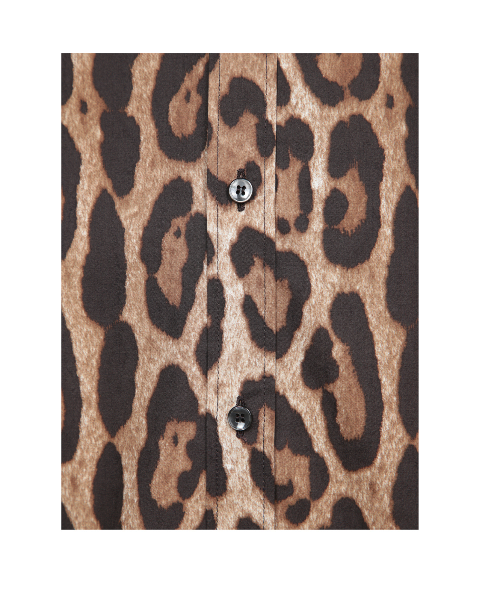 Dolce & Gabbana Leopard Print Silk Shirt In Nude