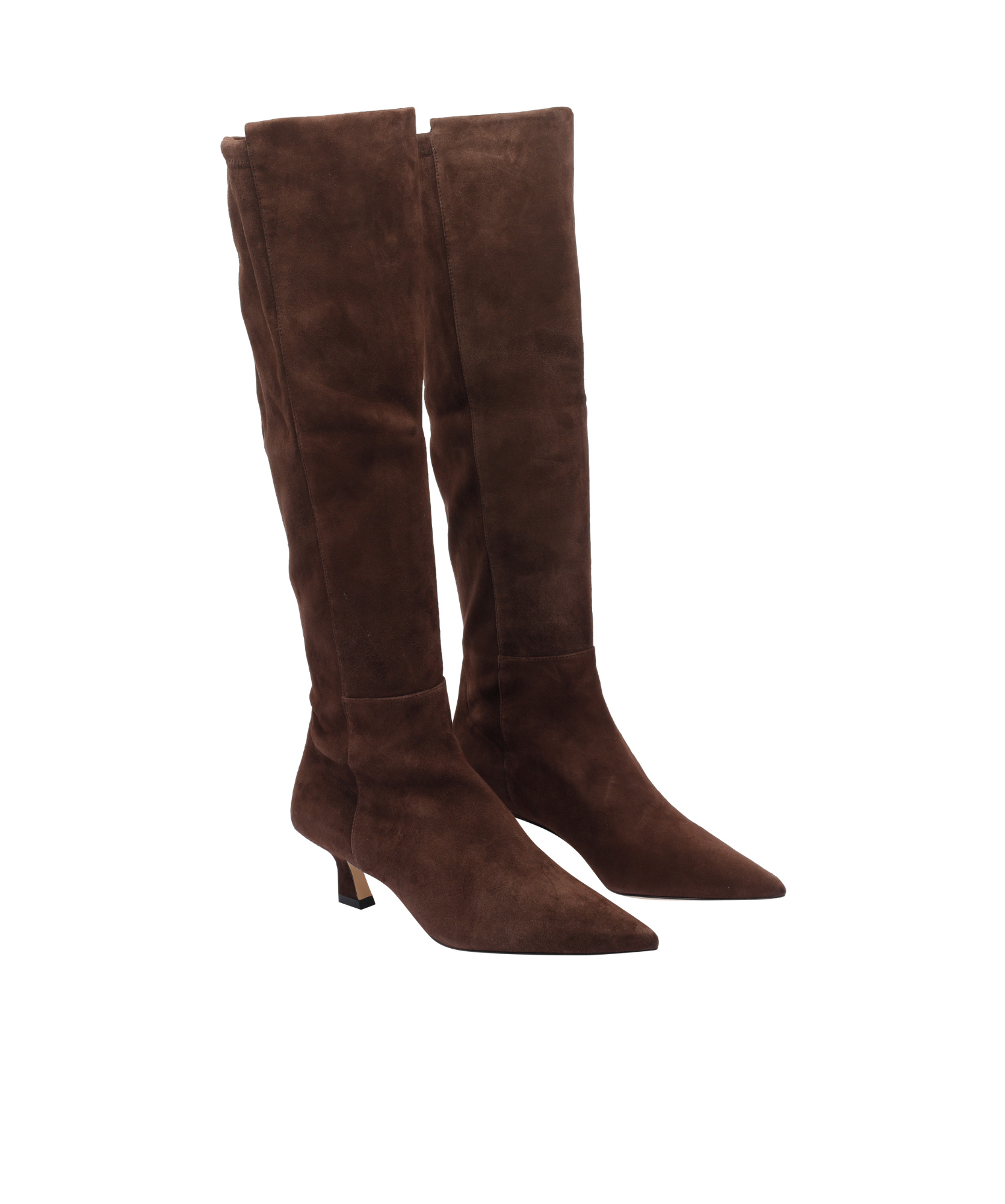 Stuart Weitzman Pointed Boots In Black
