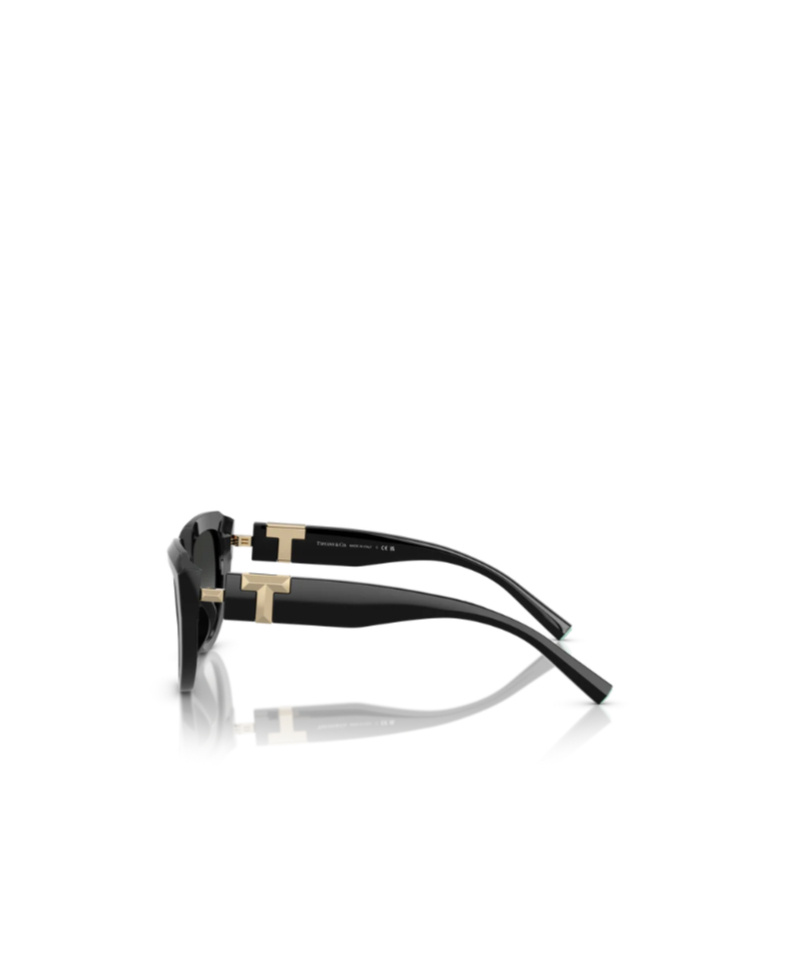 Tiffany & Co Geometric Sunglasses In Black