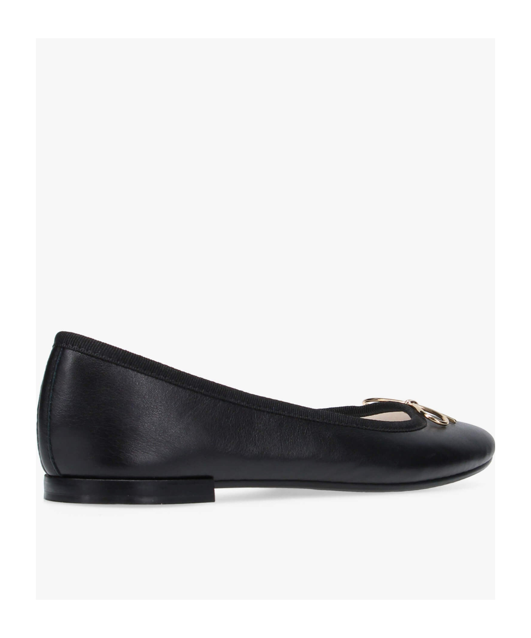Repetto Flat Ballet Shoes In Black