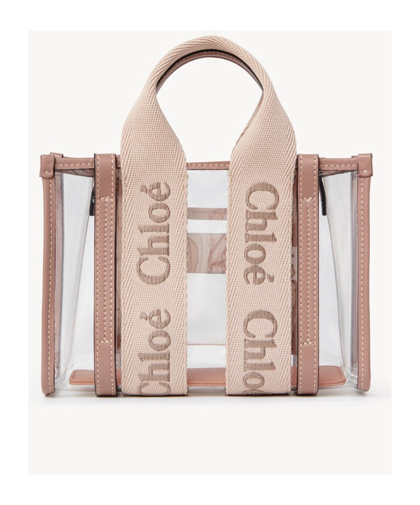 Chloé Women Mini Woody Tote Bag In Jelly In Nude
