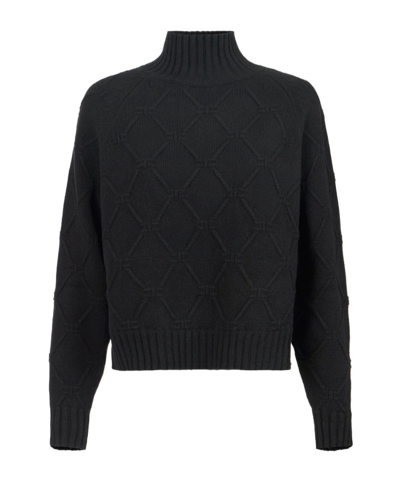 Elisabetta Franchi High-neck Sweater In Black