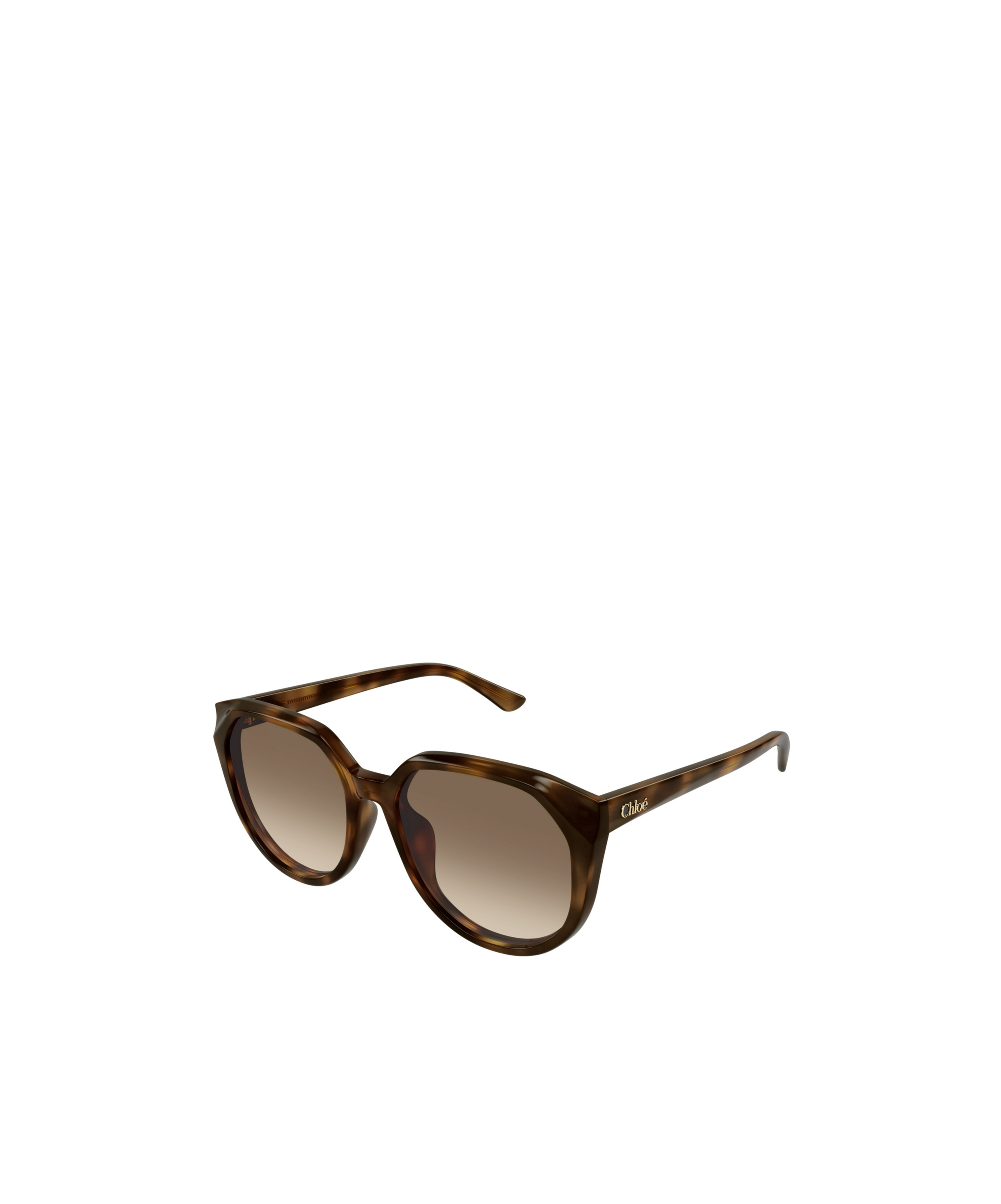 Chloé Round Acetate Sunglasses In Brown