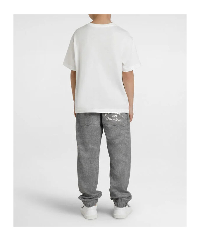 Dolce & Gabbana Pinstripe Trousers In Gray