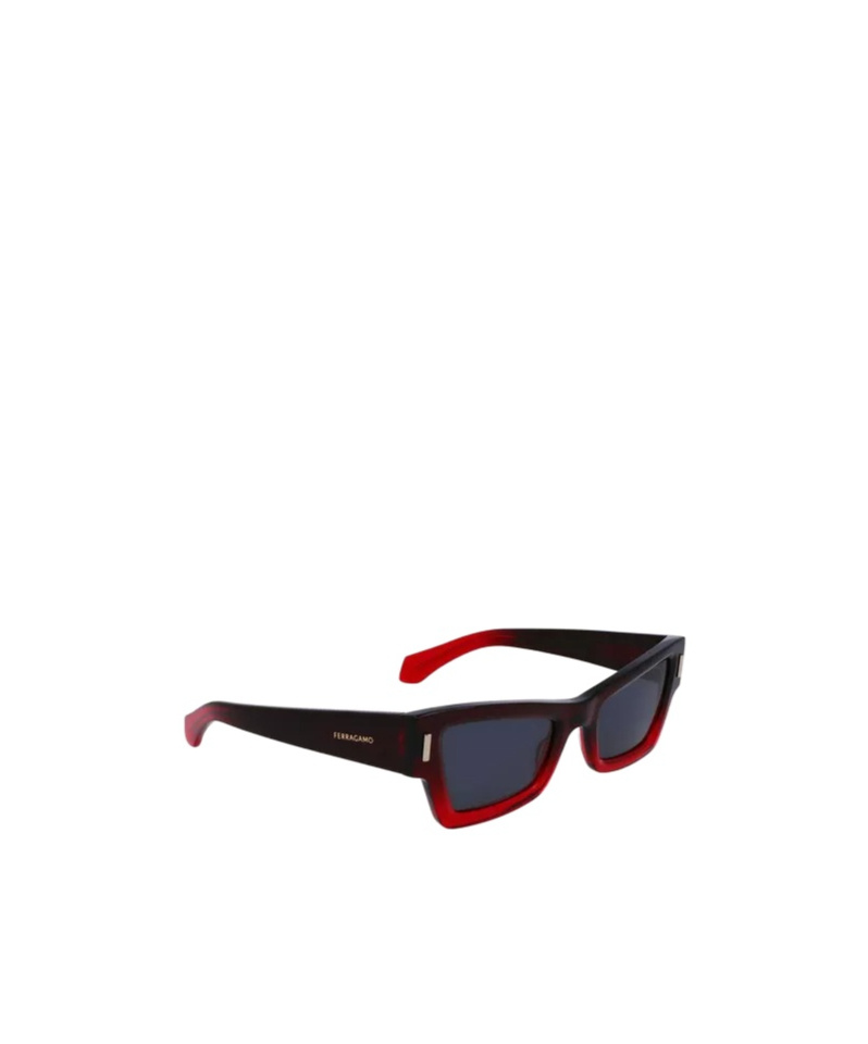 Ferragamo Rivets Acetate Cat-eye Sunglasses In Brown