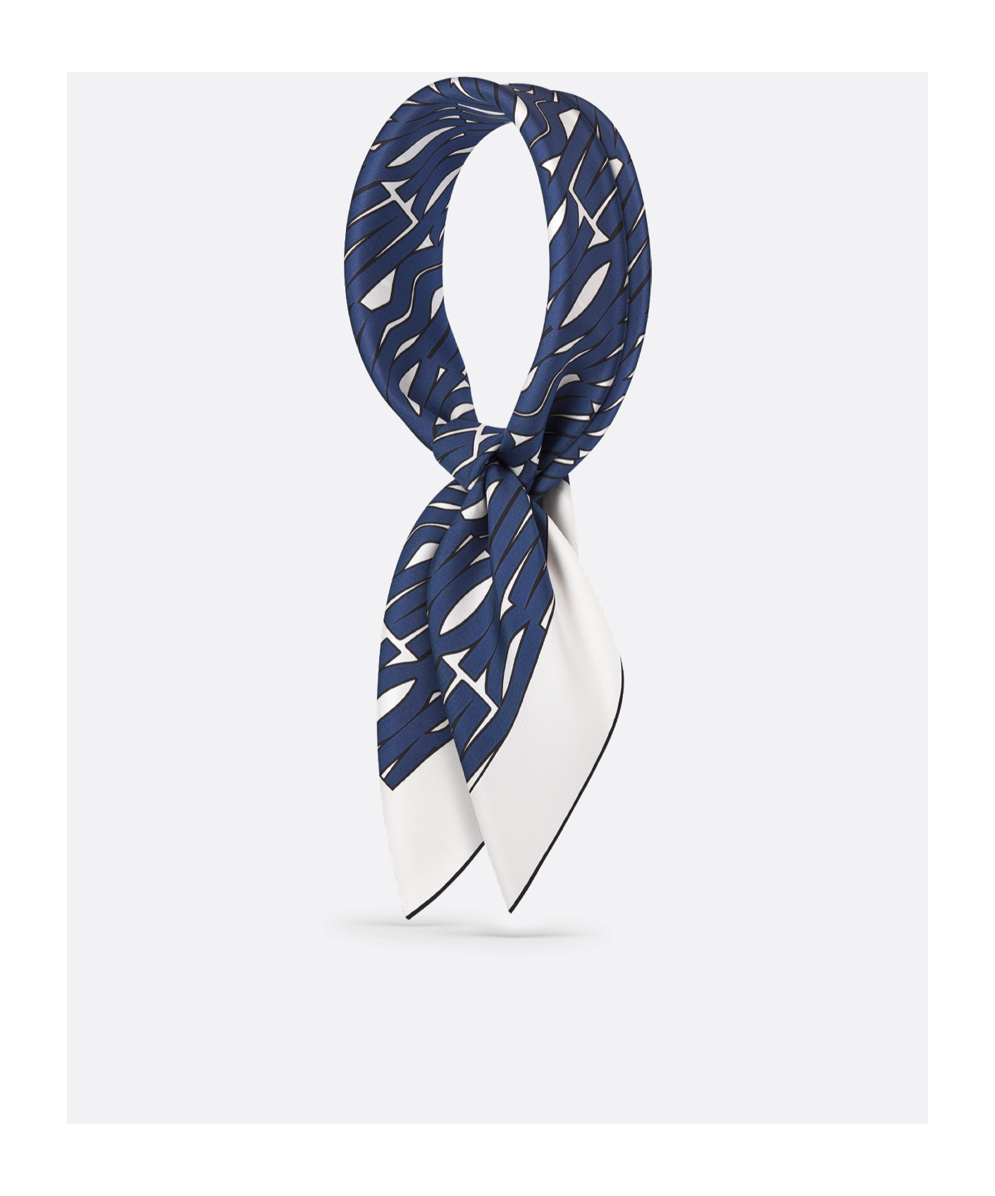Dior Logo Square In Blue