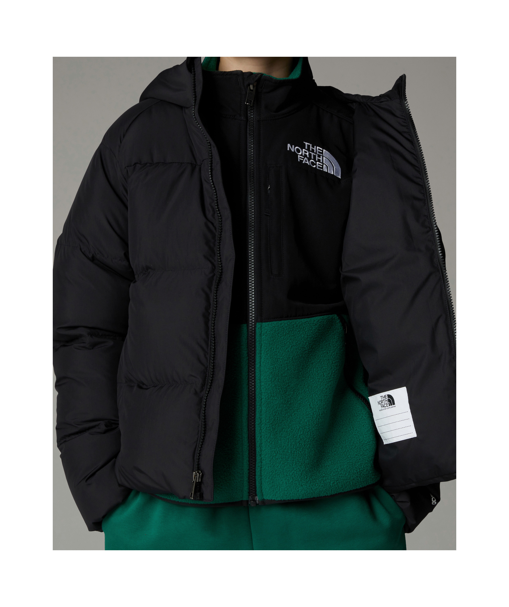 The North Face North Down Hooded Down Jacket In Black