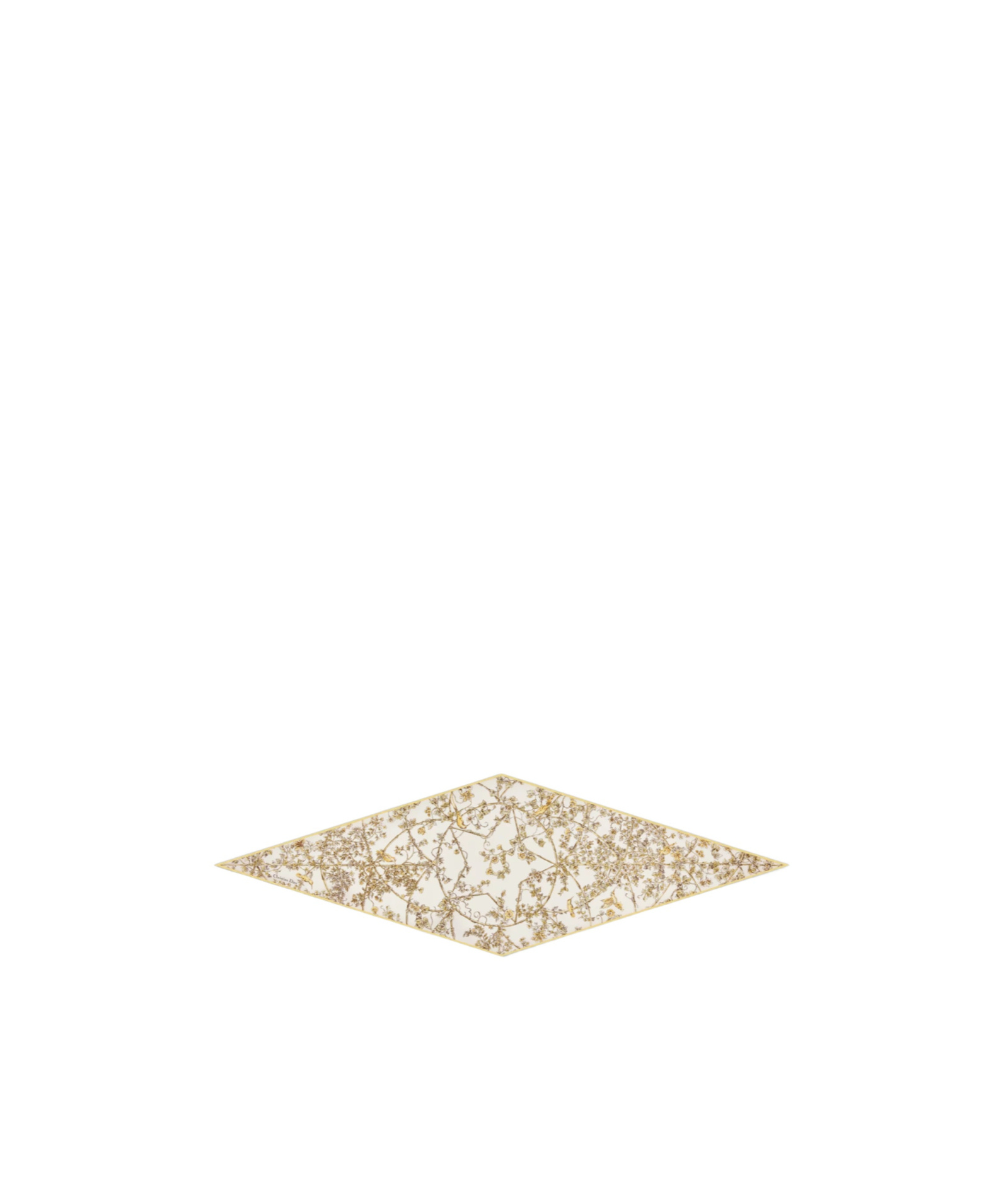 Dior Pattern Scarf In Neutral