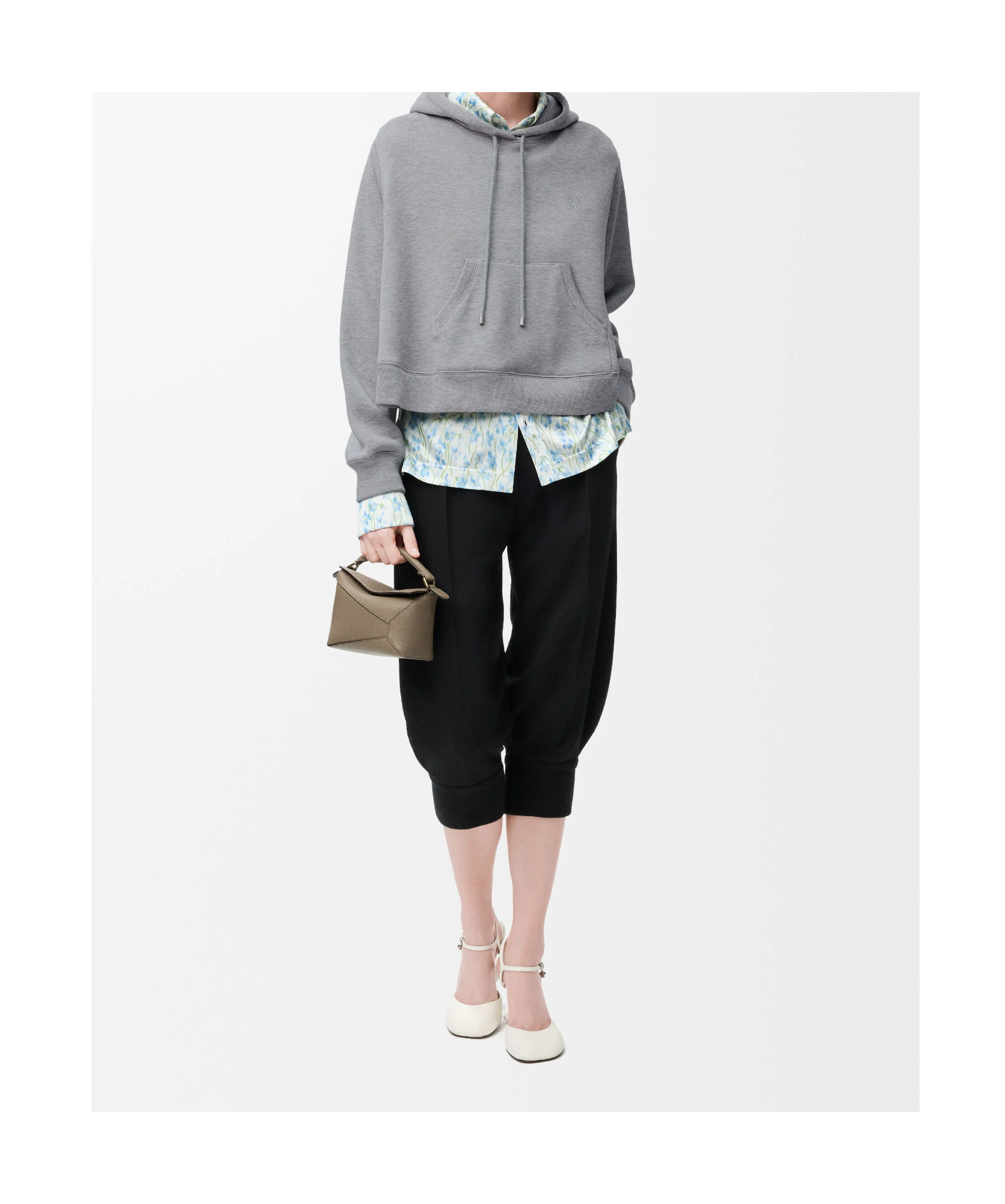 Loewe Trapeze Hoodie In Cotton Blend In Animal Print