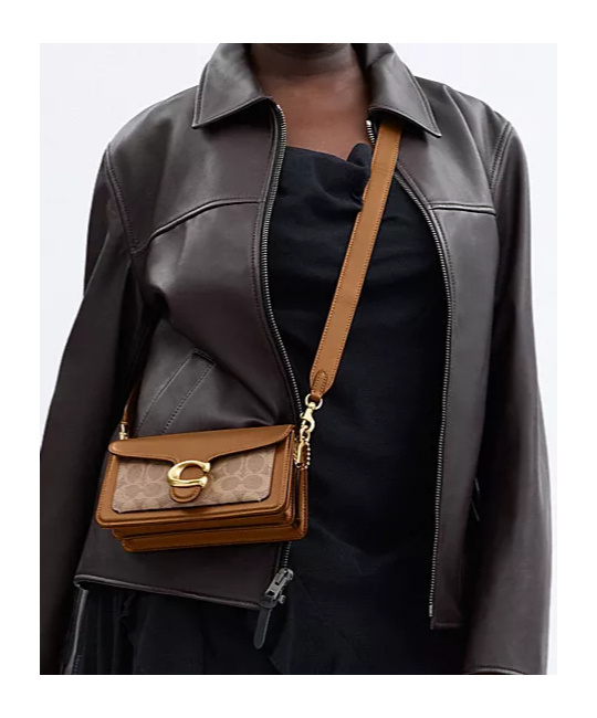 Coach Single-handle Cross-body Bag In Brown