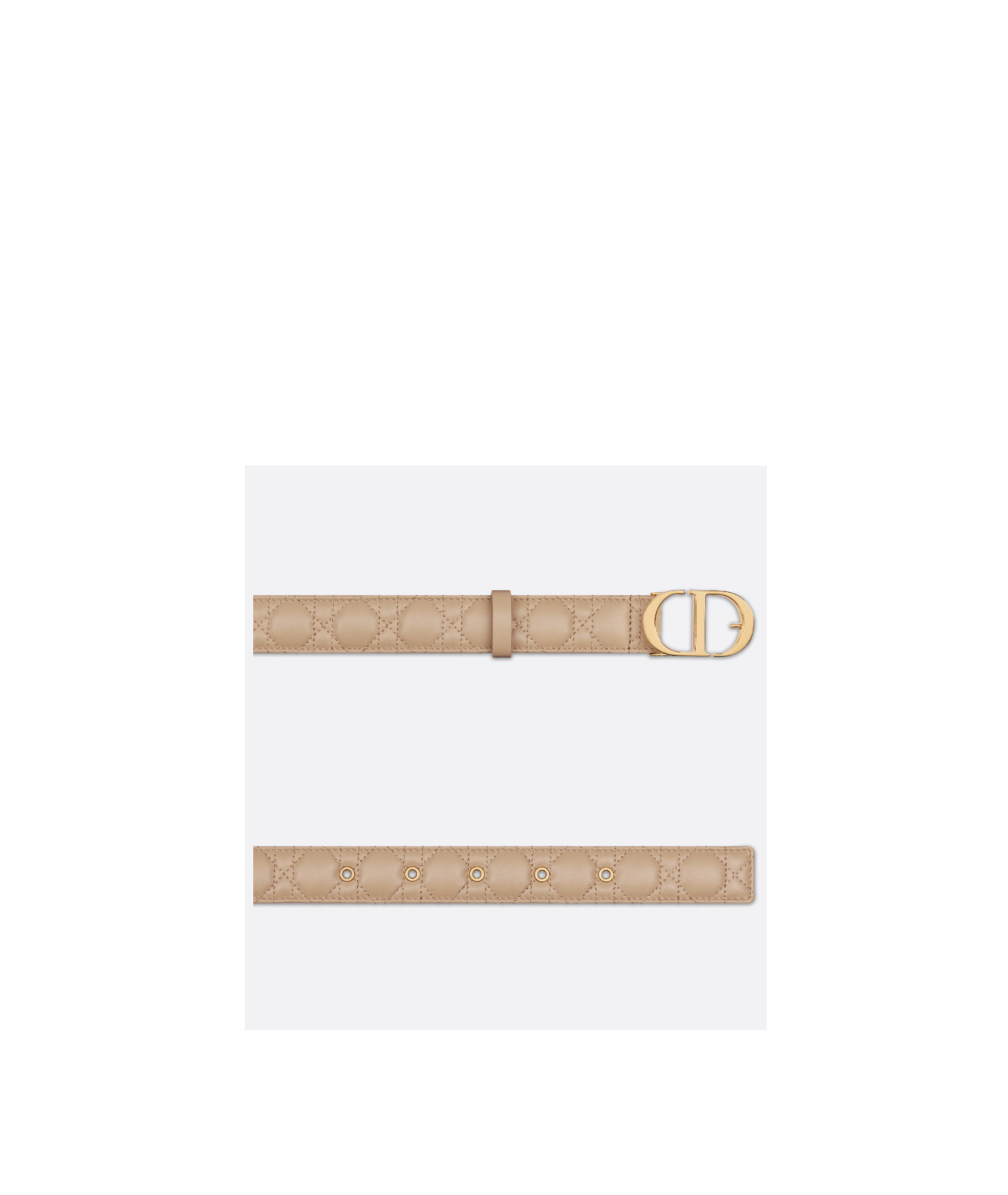 Dior 30 Montaigne Belt In Nude