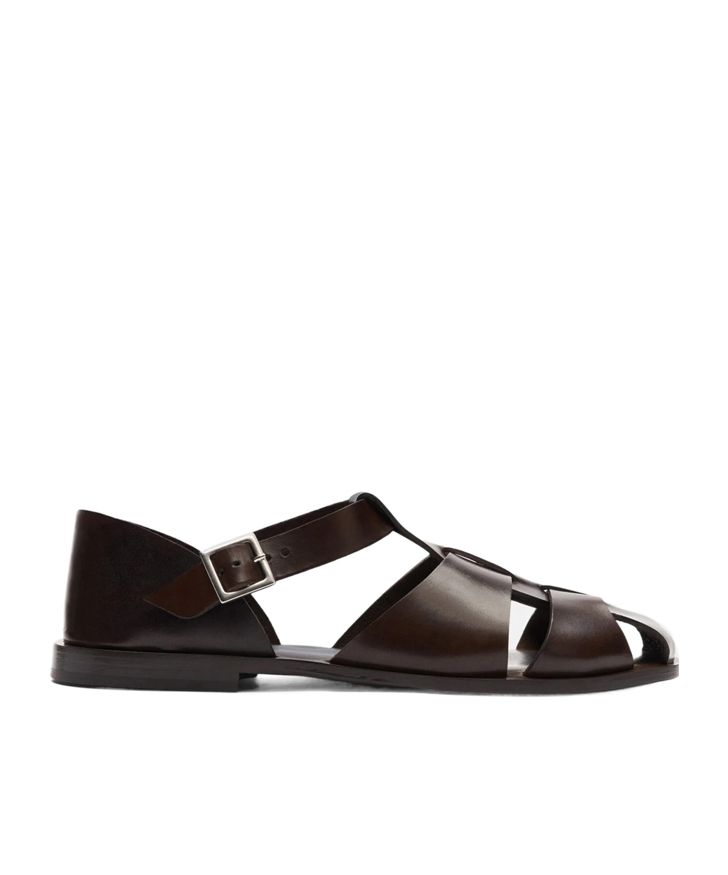 Scarosso Apollo Buckle-fastened Sandals In Brown