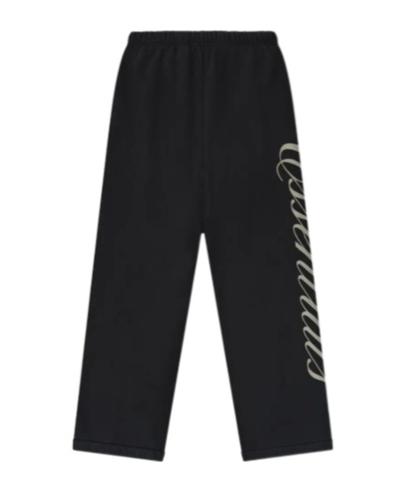 Essentials Drawstring Elastic Waist Sports Pants In Black