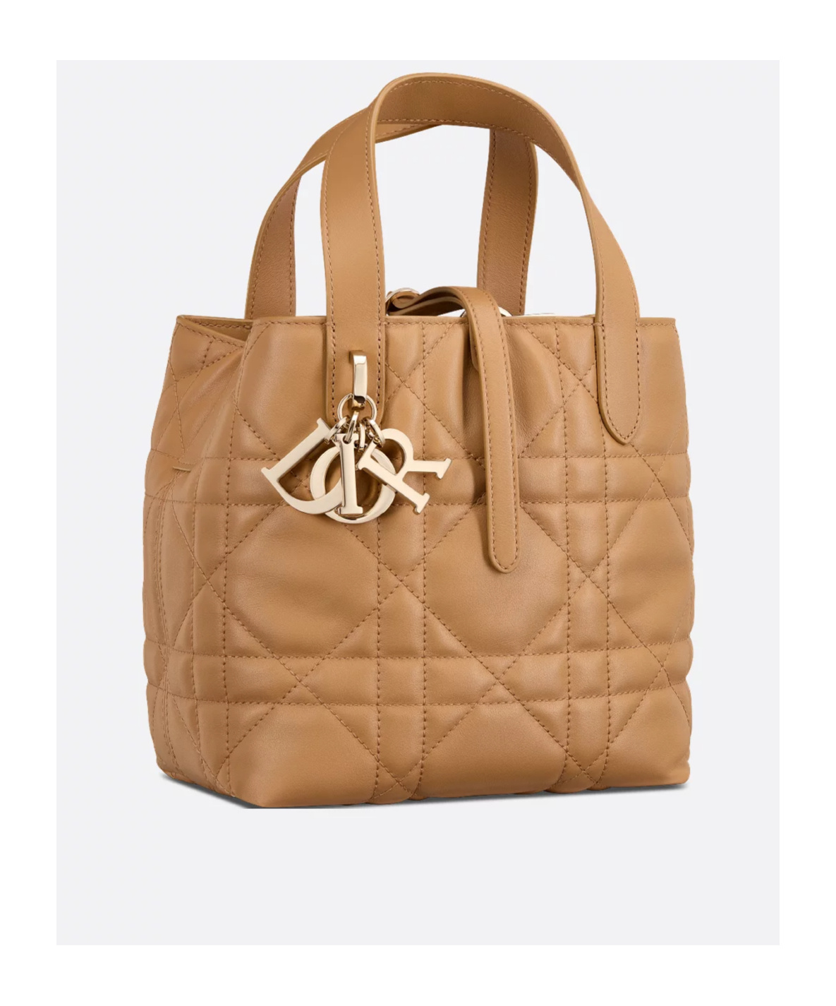 Dior Small  Toujours Vertical Tote Bag In Nude