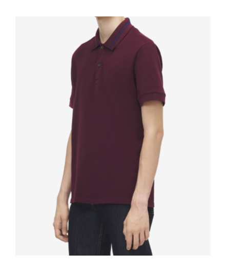 Alexander Mcqueen Men Polo Shirt With Logo On The Collar In Burgundy