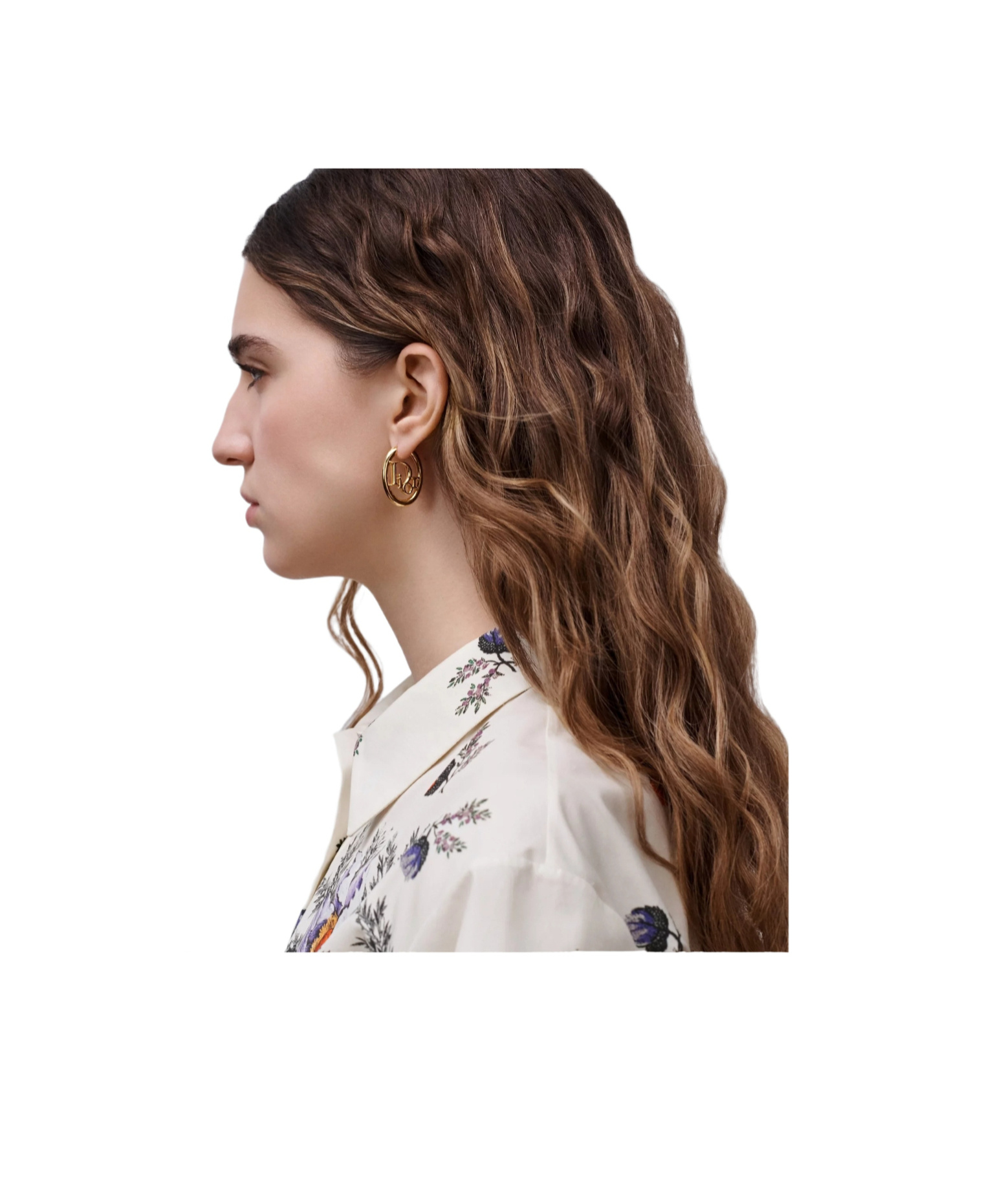 Dior Obliquehoop Earrings In Brown