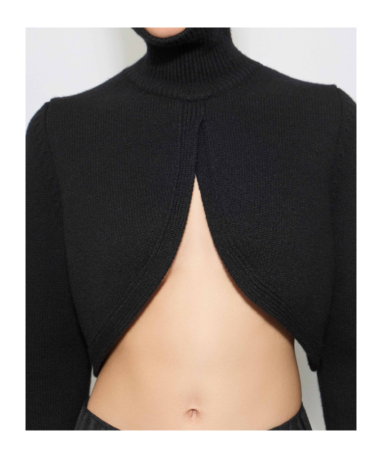 Alaïa Cropped Turtleneck Long Sleeve Knitwear In Multi