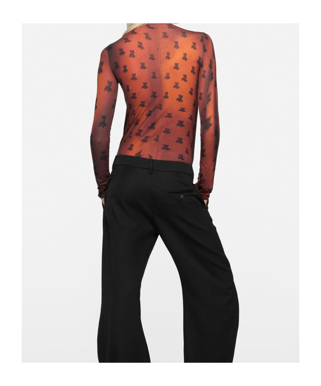 Acne Studios Edenise Teddy Print Long Sleeve Mesh Top In Brown