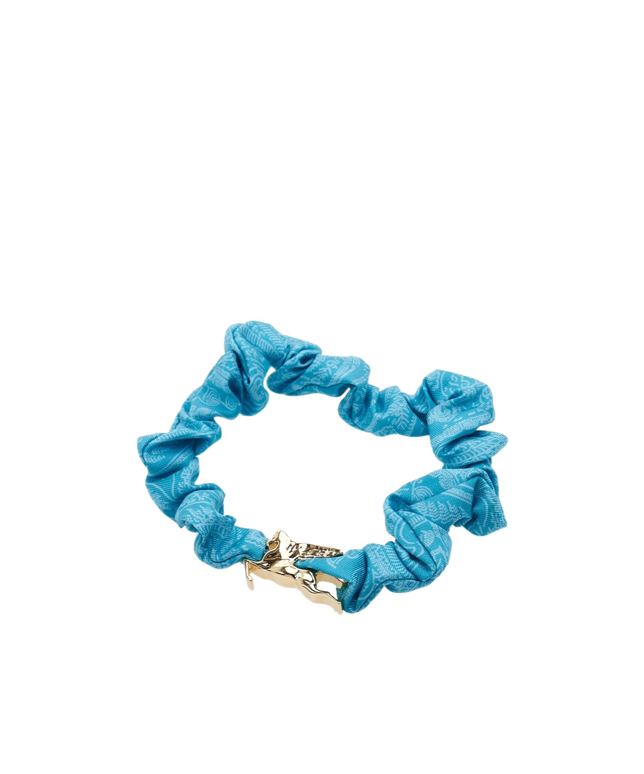 Etro Logo Hair Accessories In Blue