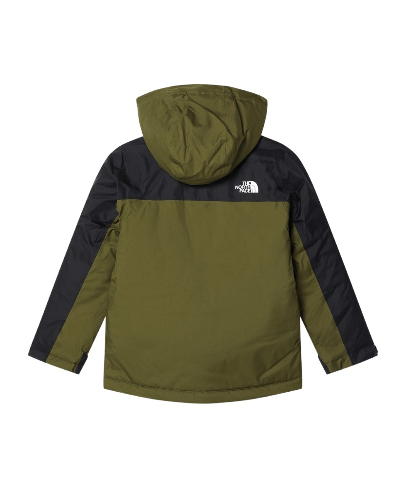 The North Face Long-sleeved Hooded Jacket In Green
