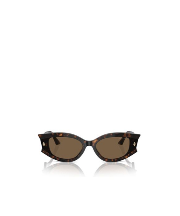 Jimmy Choo Eyewear Cat-eye Sunglasses In Brown