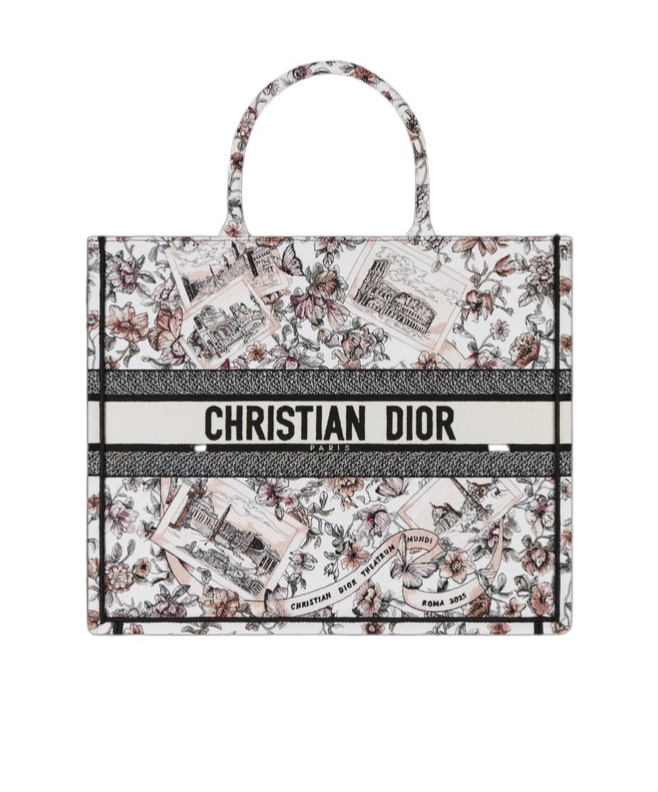 Dior Book Tote Shoulder Bag In Gray