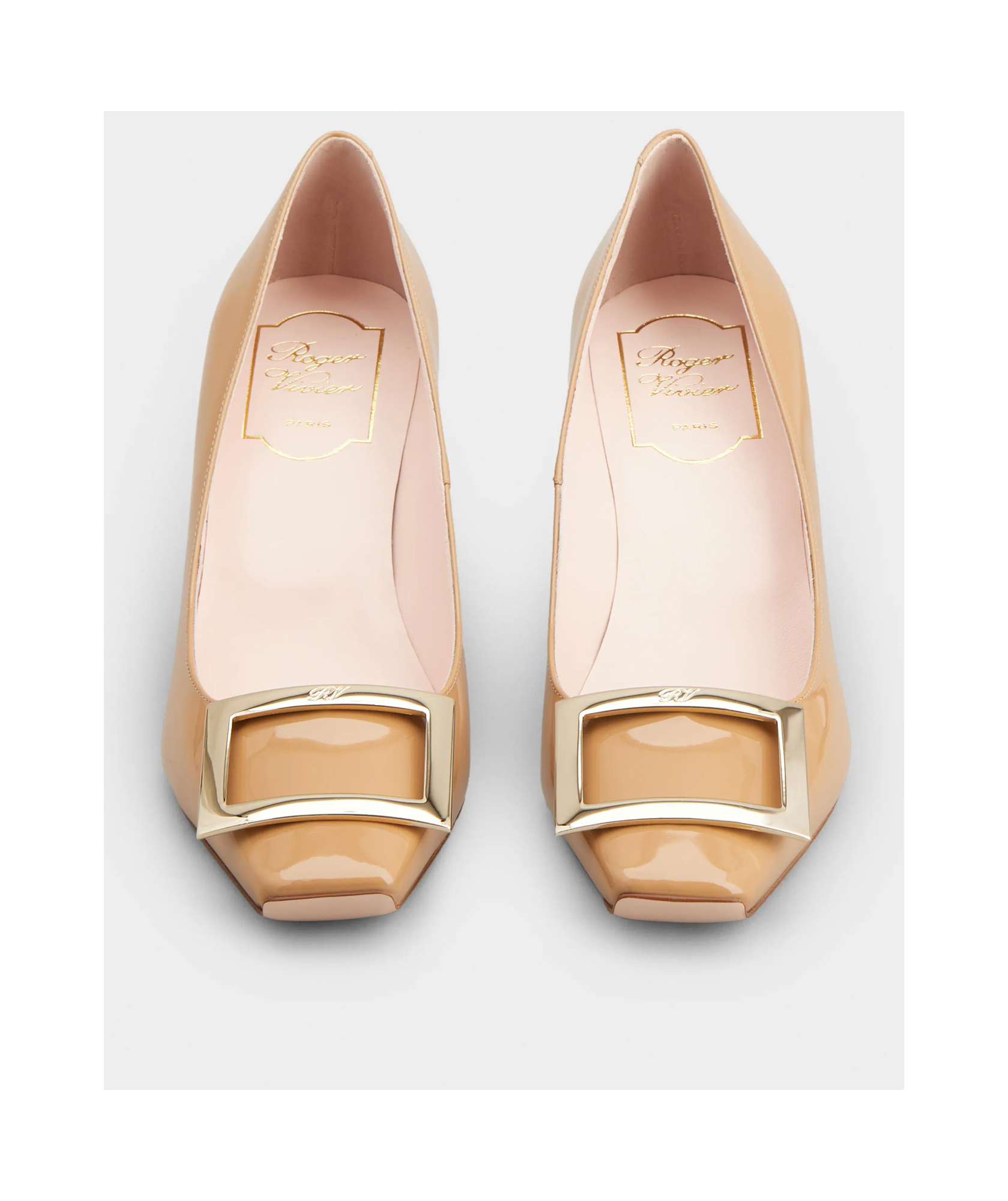 Roger Vivier Belle Vivier Trompette 70 Pumps In Nude
