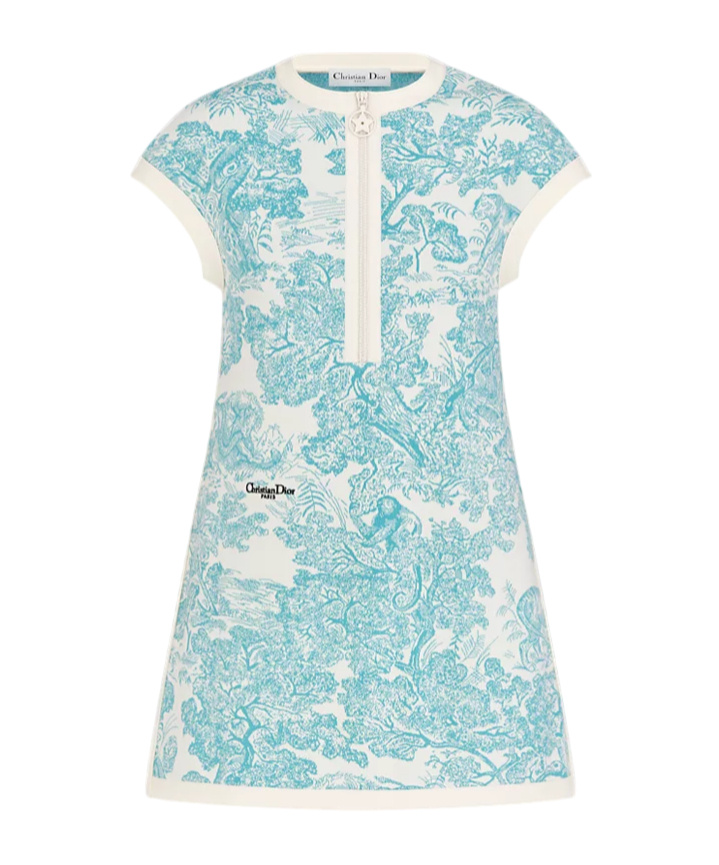 Dior Iviera Short Flared Dress In Blue