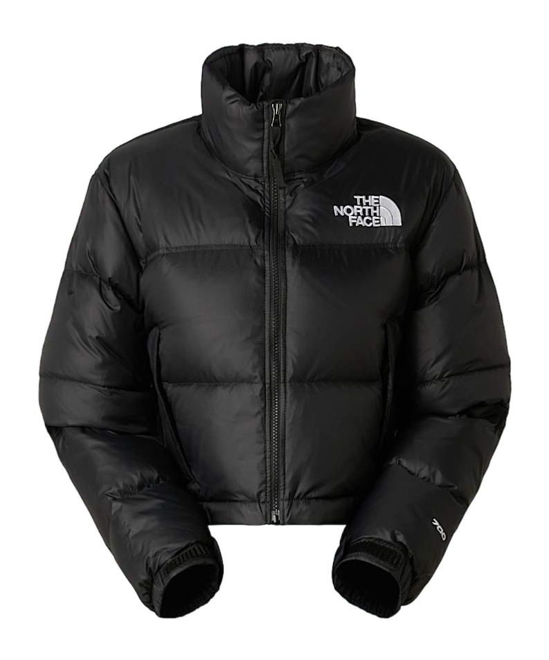 The North Face 1996 Retro Nuptse Hooded Quilted Shell Down Jacket In Black