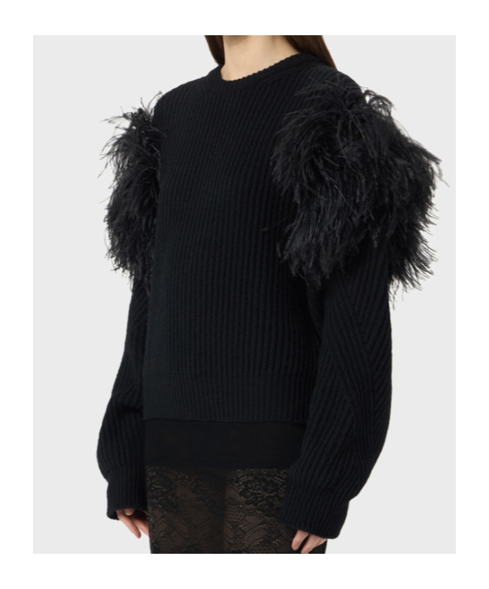 Blumarine Feather-trim Jumper In Black